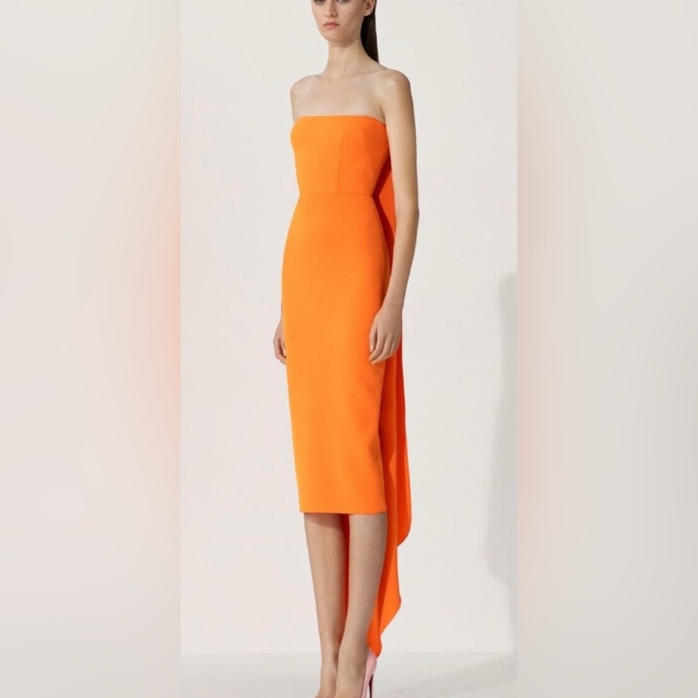 Nwot Alex Perry dress
